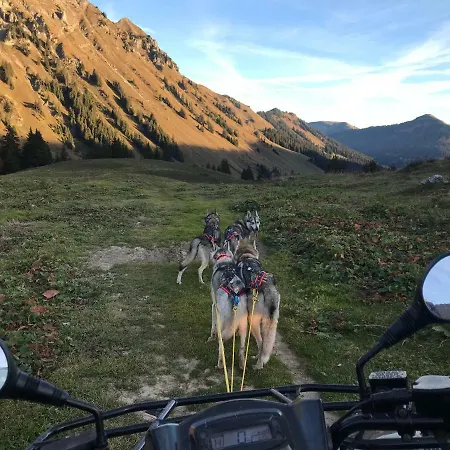Huskie's Chalet ゲストハウス モルジャン