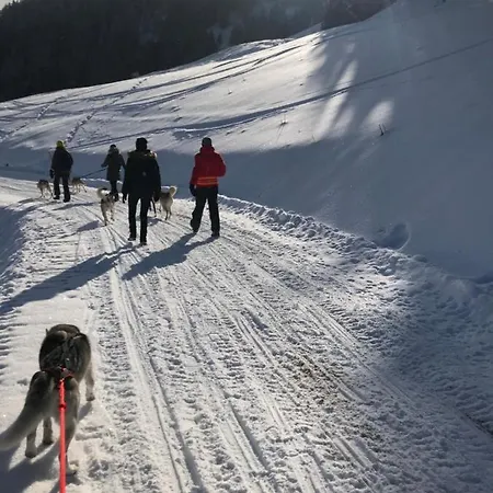 招待所 Huskie's Chalet *