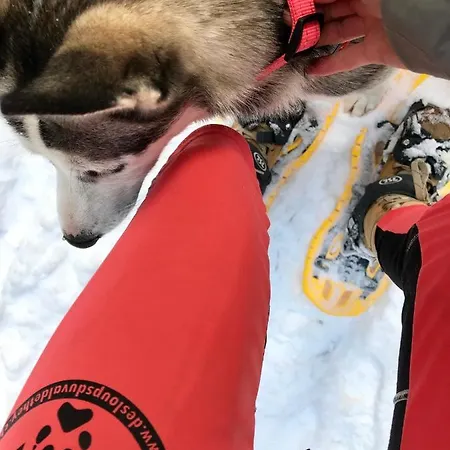 Huskie's Chalet *