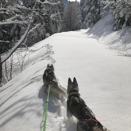 Huskie's Chalet Morgins