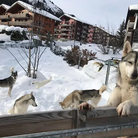 Huskie's Chalet Morgins